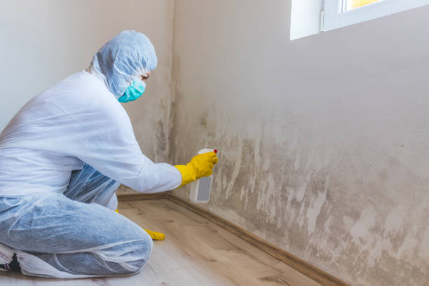 Mold inspector in Jarrettsville performing thermal imaging